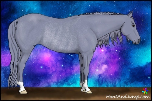Horse Color:Watercolor Black Rabicano 