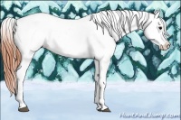 Horse Color:Bay Roan Blanket 