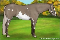 Horse Color:Silver Grullo Splash Frame