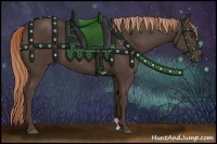 Horse Color:Liver Chestnut Rabicano