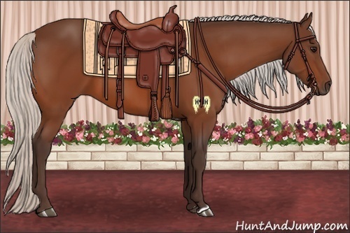 Horse Color:Silver Bay 