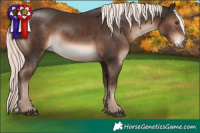 Horse Color:Liver Chestnut Mushroom Rabicano