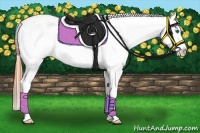 Horse Color:Bay Splash Leopard 