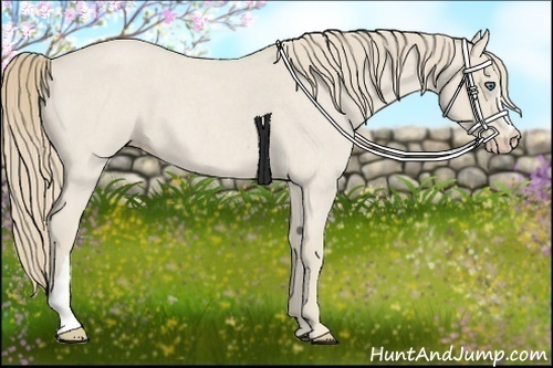 Horse Color:Smoky Creme Roan 