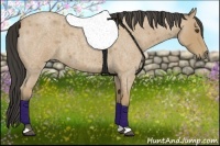Horse Color:Buckskin Roan 