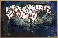 Horse Color:Brown Near Leopard 