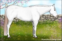 Horse Color:Black Appaloosa Rabicano 