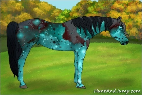 Horse Color:ERROR: UNKNOWN ANOMALY and ERROR: UNKNOWN ANOMALY
