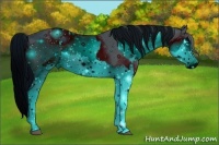 Horse Color:ERROR: UNKNOWN ANOMALY and ERROR: UNKNOWN ANOMALY