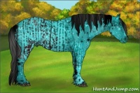 Horse Color:ERROR: UNKNOWN ANOMALY and ERROR: UNKNOWN ANOMALY