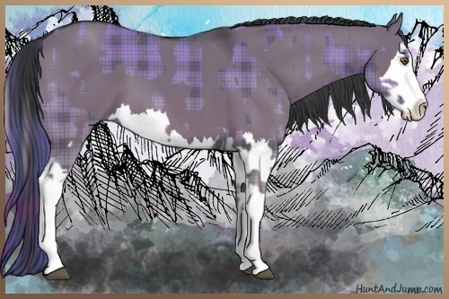 Horse Color:Plaid  Grullo Chinchilla Sabino Splash  and Grullo Sabino Splash 