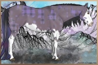 Horse Color:Plaid Grullo Chinchilla Sabino Splash and Grullo Sabino Splash