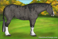 Horse Color:Grullo Sabino Splash Brindle and Gray Grullo Sabino Splash Brindle