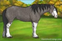 Horse Color:Grullo Sabino Splash  and Grullo Sabino Splash 