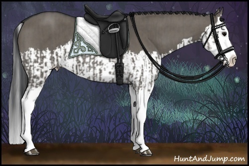 Horse Color:Grullo Sabino Splash  and Smoky Grullo Sabino Splash 