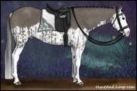Horse Color:Grullo Sabino Splash and Smoky Grullo Sabino Splash