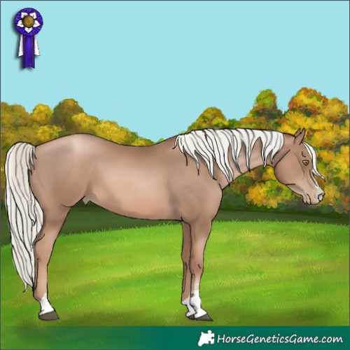 Horse Color:Liver Chestnut Pearl Mushroom 
