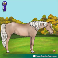 Horse Color:Liver Chestnut Pearl Mushroom 