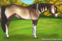 Horse Color:Liver Red Onyx Tobiano Brindle