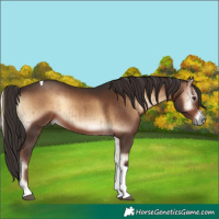 Horse Color:Liver Red Onyx Tobiano Brindle 