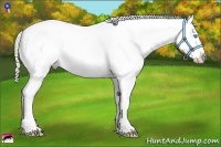 Horse Color:Smoky Creme Near Leopard