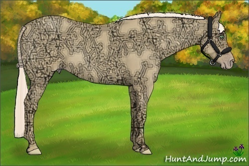 Horse Color:Gold Cream Champagne Ice Roan 