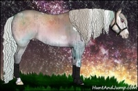 Horse Color:Silver Sable Champagne Chinchilla Onyx Sabino Splash