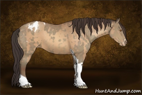 Horse Color:Sable Champagne Sabino Tobiano Appaloosa and Sable Champagne Sabino Tobiano Appaloosa