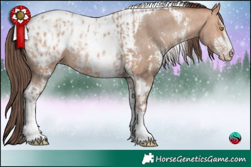 Horse Color:Sable Champagne Sabino Tobiano Blanket and Sable Champagne Sabino Tobiano Blanket