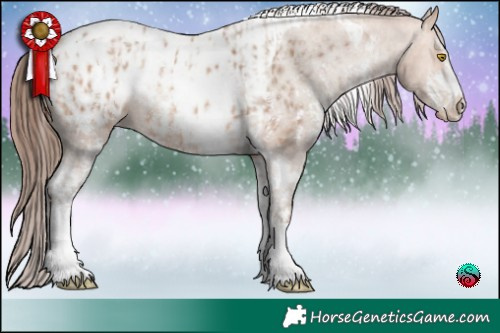 Horse Color:Sable Champagne Sabino Tobiano Appaloosa  and Sable Champagne Sabino Tobiano Appaloosa 
