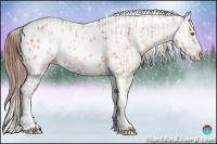 Horse Color:Sable Champagne Sabino Tobiano Appaloosa and Sable Champagne Sabino Tobiano Appaloosa