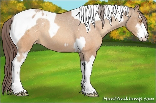 Horse Color:Sable Champagne Sabino Tobiano Varnish and Sable Champagne Sabino Tobiano Varnish