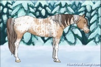 Horse Color:Sable Champagne Sabino Tobiano Varnish  and Sable Champagne Sabino Tobiano Frame Varnish 