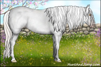 Horse Color:Gray Sable Champagne Sabino Tobiano Appaloosa and Gray Silver Sable Champagne Sabino Tobiano Appaloosa