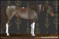 Horse Color:Liver Chestnut Tobiano