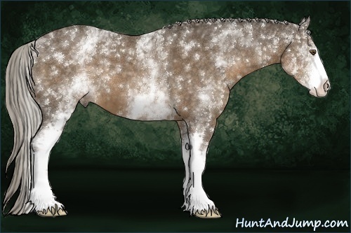 Horse Color:White Spotted Chocolate Palomino 