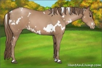 Horse Color:White Spotted Black Pearl 