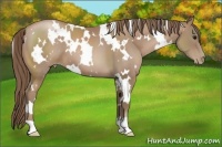 Horse Color:White Spotted Black Pearl 