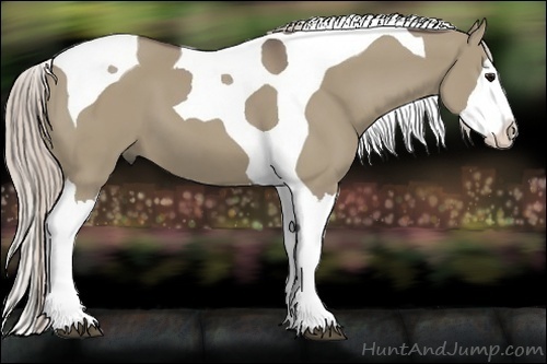 Horse Color:Silver Grullo Splash Tobiano 