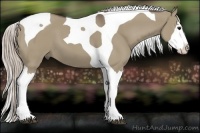 Horse Color:Silver Grullo Splash Tobiano 