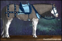 Horse Color:Grullo Sabino Splash  and Grullo Sabino Splash 