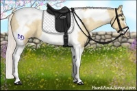 Horse Color:Silver Classic Champagne Roan Dun Splash Tobiano Frame Appaloosa Rabicano 