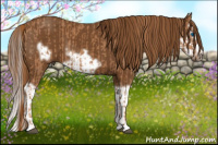 Horse Color:Chestnut Splash Frame  and Gray Chestnut Splash Frame 