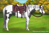 Horse Color:Black Splash Tobiano Frame