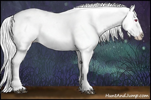 Horse Color:White Spotted Silver Grullo Chinchilla Ice Roan Appaloosa 