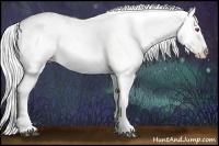 Horse Color:White Spotted Silver Grullo Chinchilla Ice Roan Appaloosa 