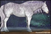 Horse Color:Watercolor White Spotted Silver Classic Champagne Chinchilla Ice Tobiano Rabicano