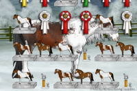 Horse Color:White Spotted Brown Tobiano 
