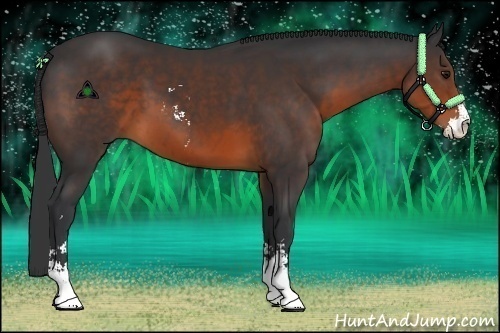 Horse Color:Brown Sabino