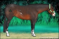 Horse Color:Brown Sabino 
